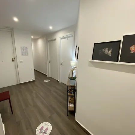 Ma&mi Light تْشيفالو